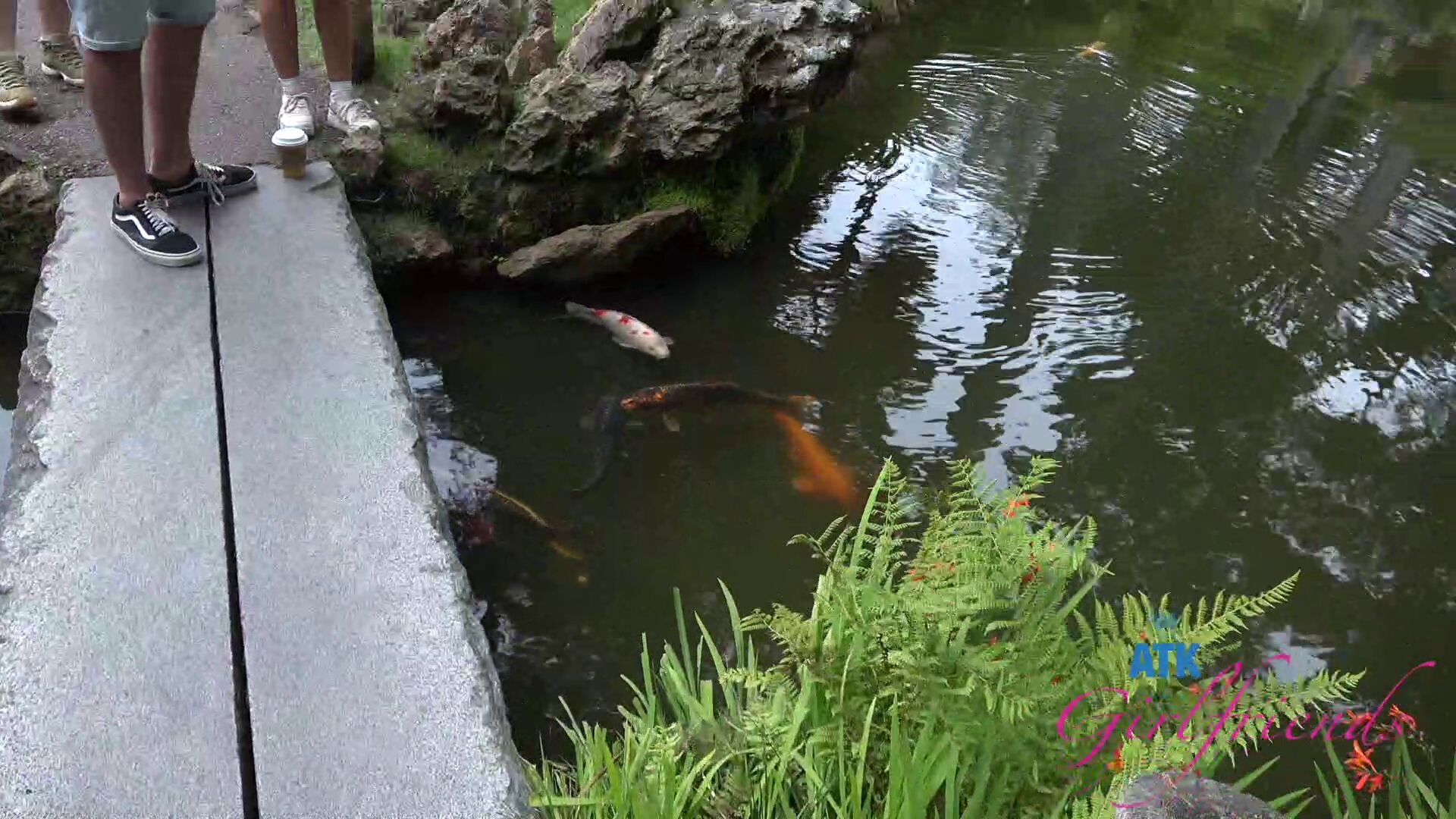 Blog image 5