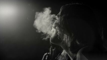 Hungry DP Vixen Prowl